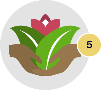 Step 5