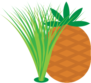 Pineapple Lemongrass
